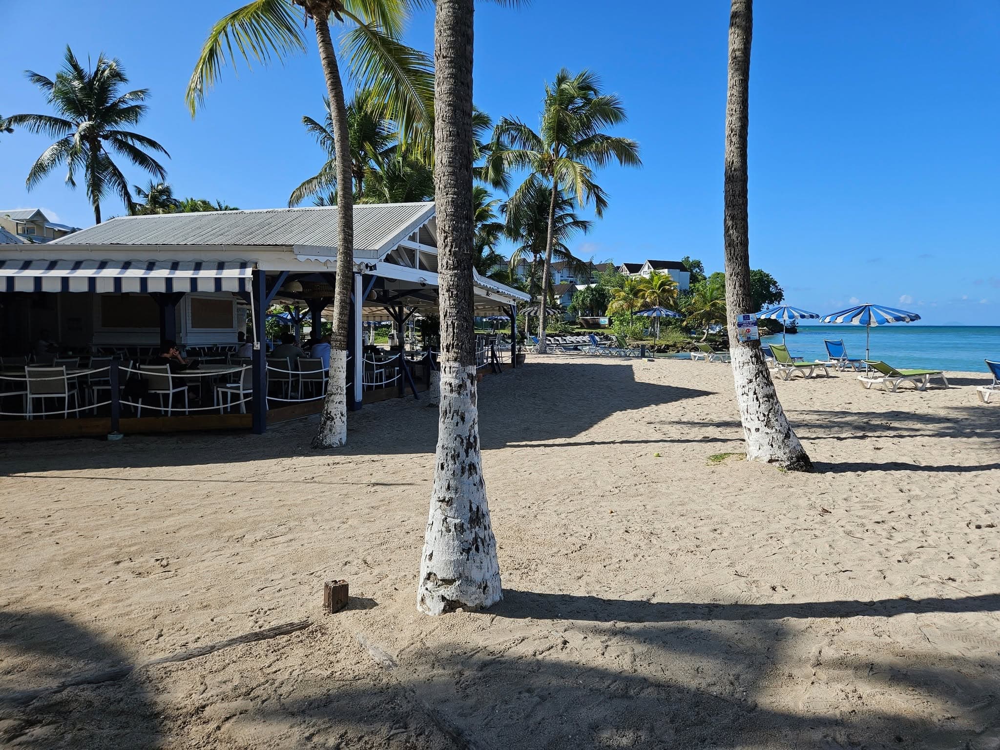 Plage privée bordée de palmiers